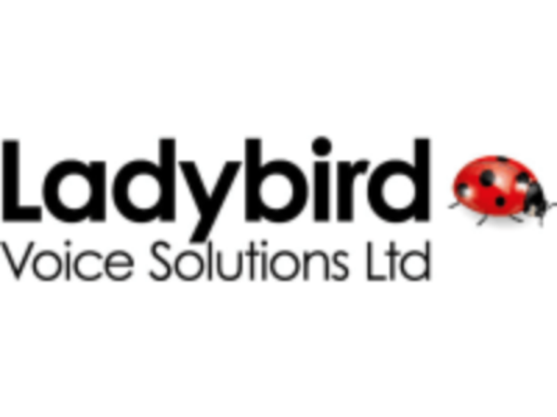 Logo of Ladybird Voice Solutions Ltd with a ladybug icon on a white background